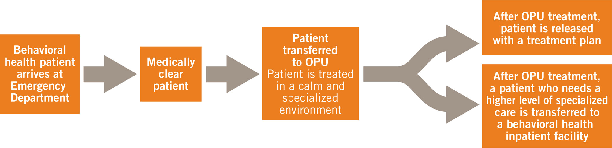 Box and text chart showing progression of patient