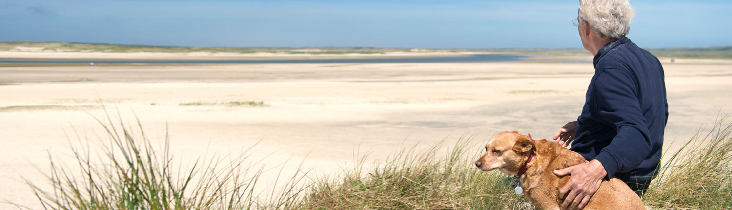 senior man and dog on beach